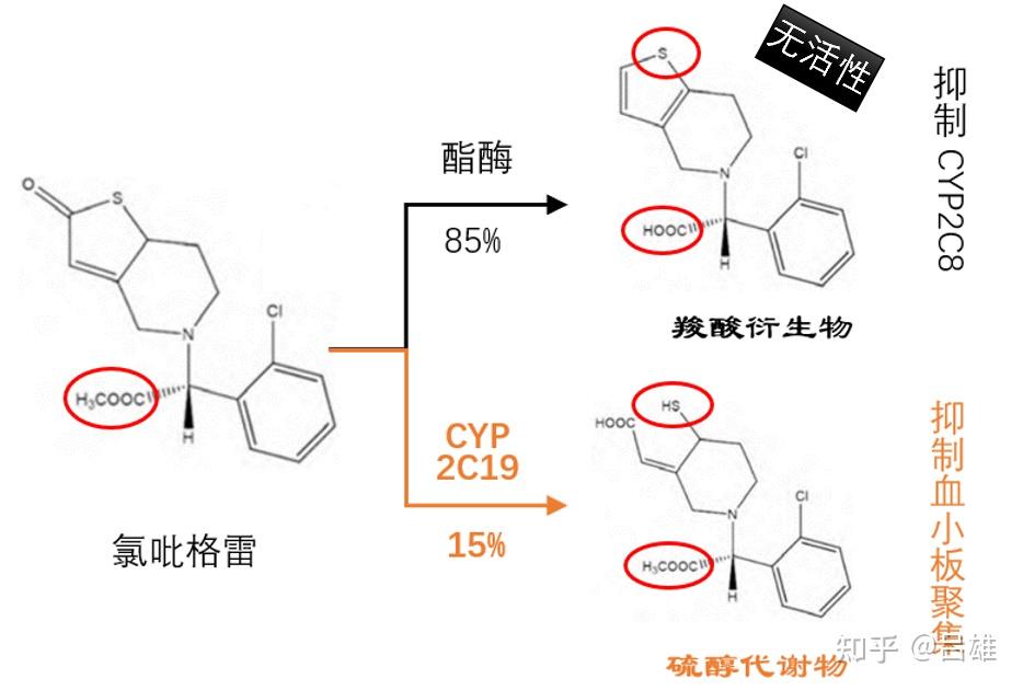 盐酸氯吡格雷图片