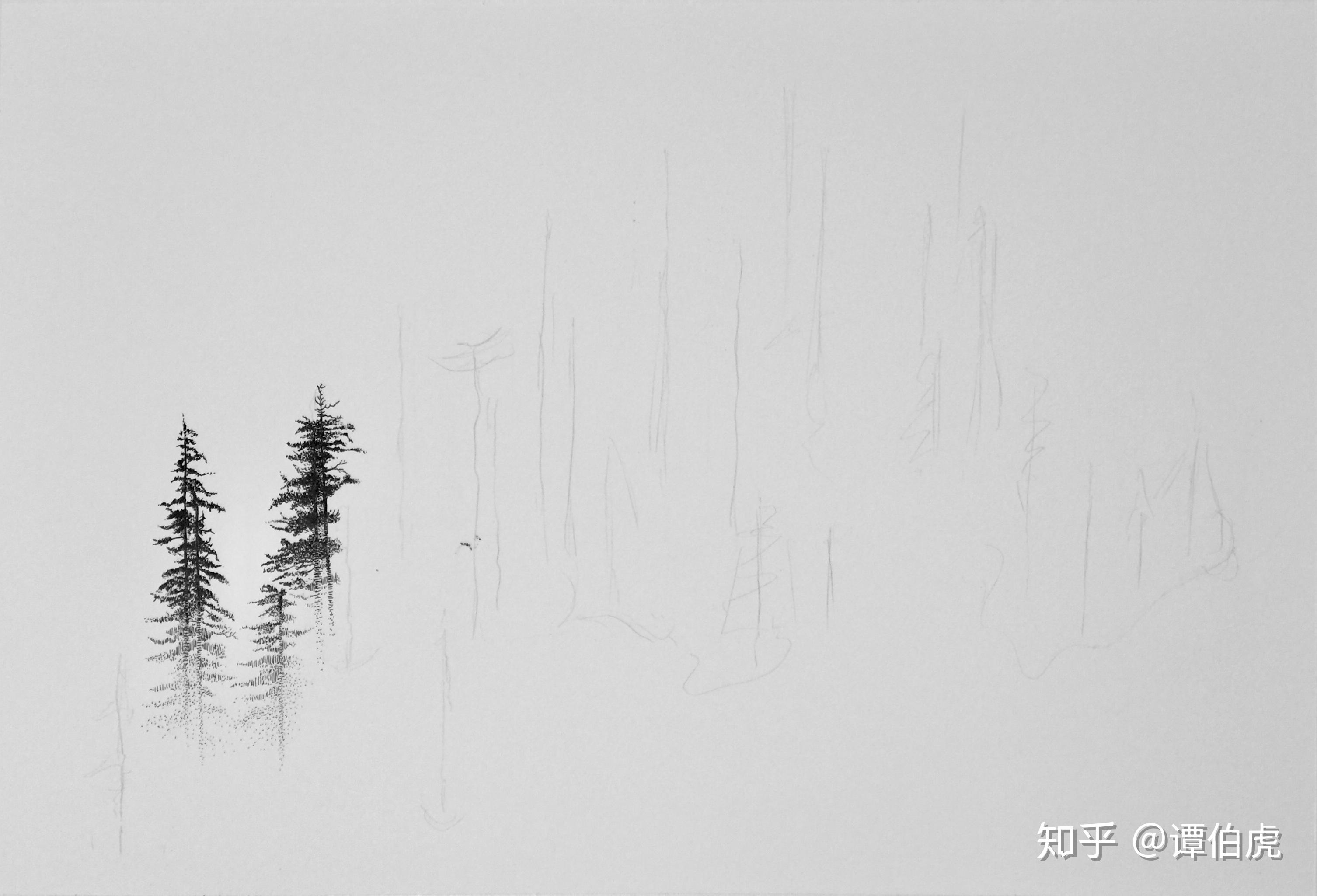 谭伯虎钢笔画作品《雾林》