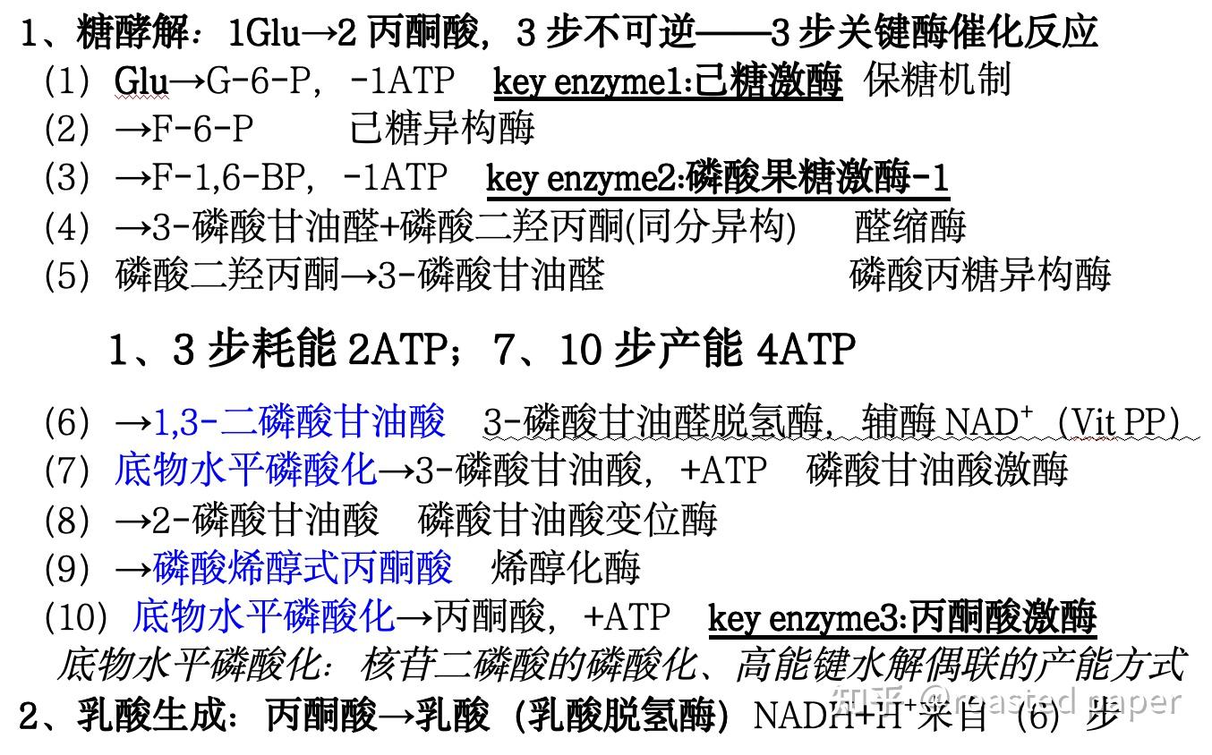 生化与分子生物学——代谢篇之糖代谢 - 知乎
