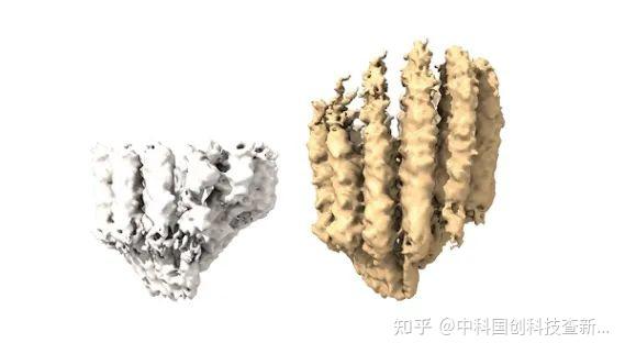 微管形成机制新进展:开启抗癌药物研发新篇章 - 知乎