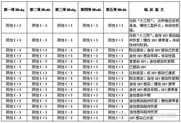 和表面抗體(抗hbs或hbsab),e抗原(hbeag)和 e抗體(抗hbe或hbeab)