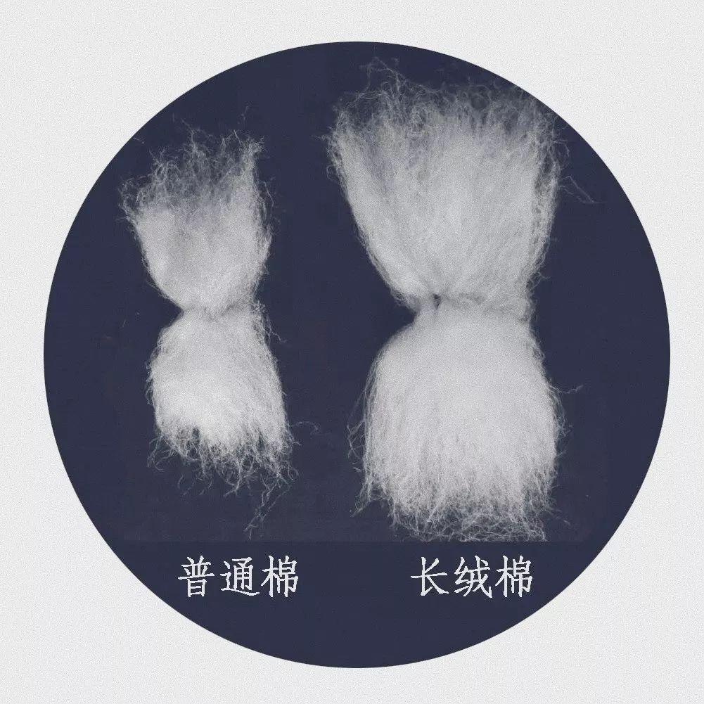 长绒棉是棉花的一种品类,比普通棉花的纤维要更长,也就更柔软,更保暖