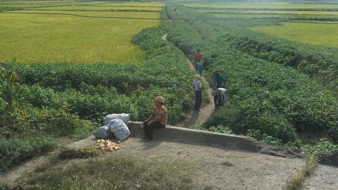北朝鲜的四天三夜:穿越时间的地平线,告别异乡的“陌路人”