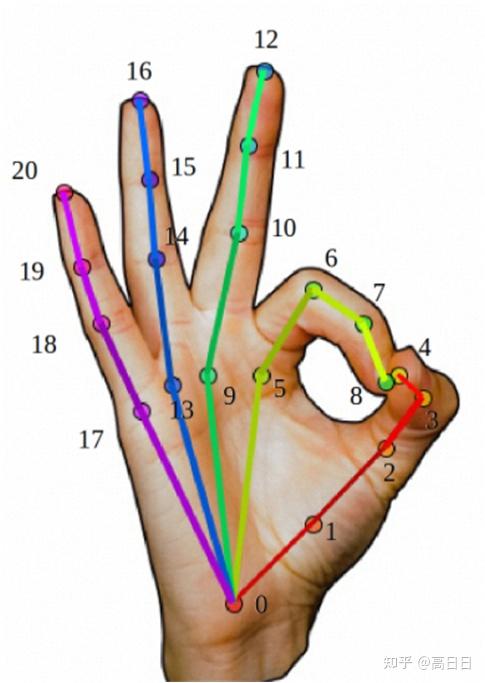 数字人基础 | 3D手部参数化模型2017-2023 - 知乎