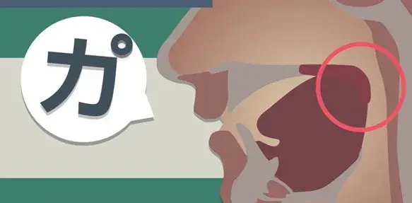 日语的浊音鼻浊音拗音促音长音你分得清吗