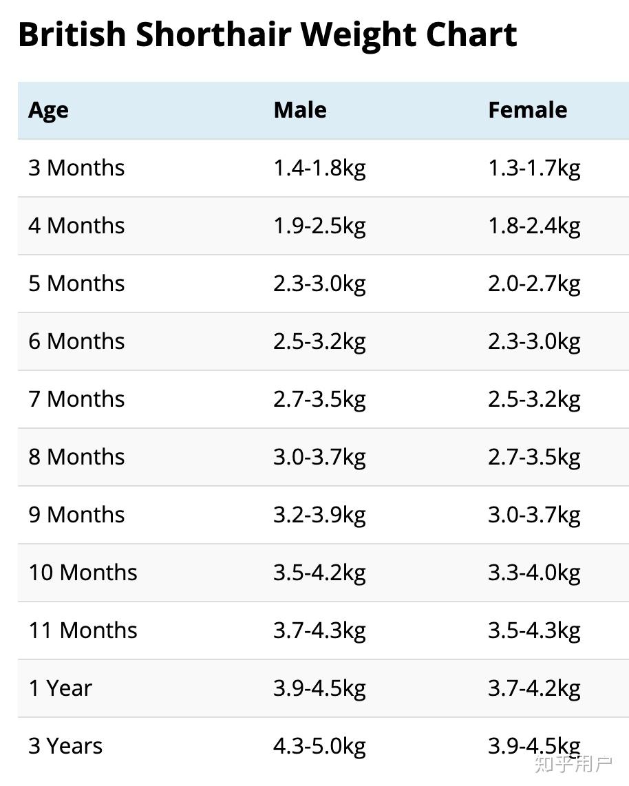 英短的正常体重是多少