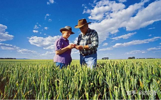 华侨汇利中国澳大利亚小麦也因干旱减产