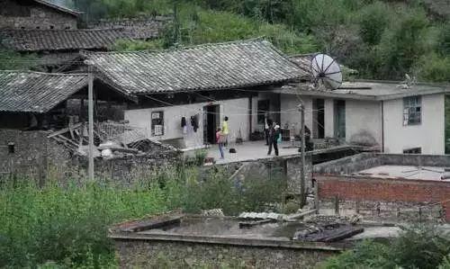 使用权,清理了鸡窝,猪圈,建起了他们的"牛背山蒲麦地青年公益实践基地