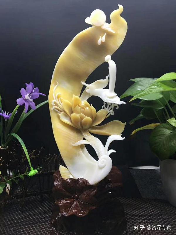 什么人不适合戴砗磲