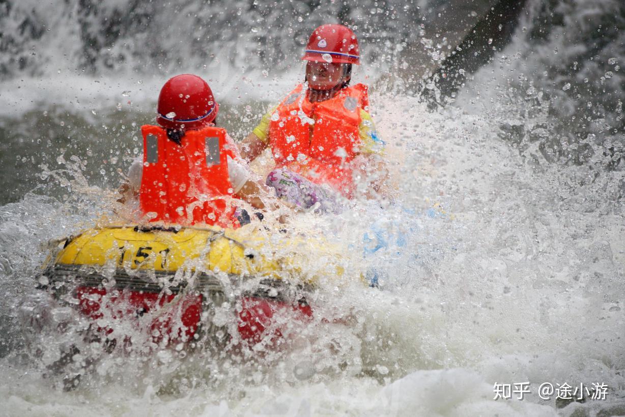 今年最后一浪去哪儿