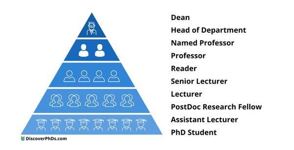 How Much Do University Professors Make