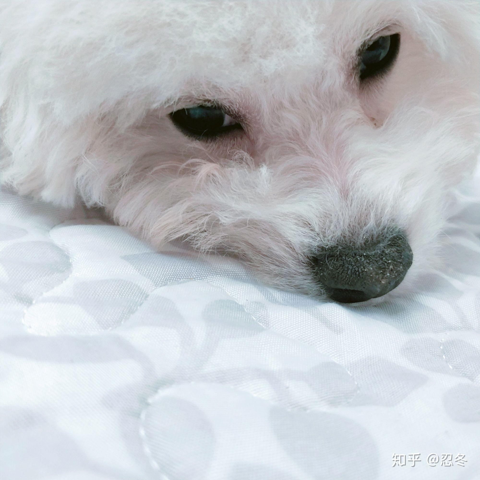 淘宝还有哪些类似没烦恼很幸福的店铺?