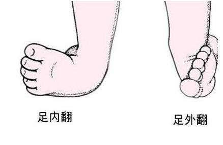 v2-f9392e5a3445226ce2e8dd2783650405_1200x500.jpg