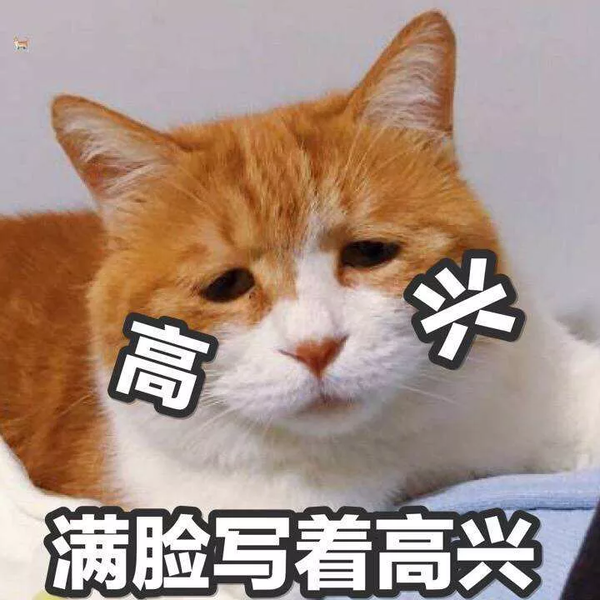 高校大爷爆笑训猫 猫 不会要请家长吧 知乎