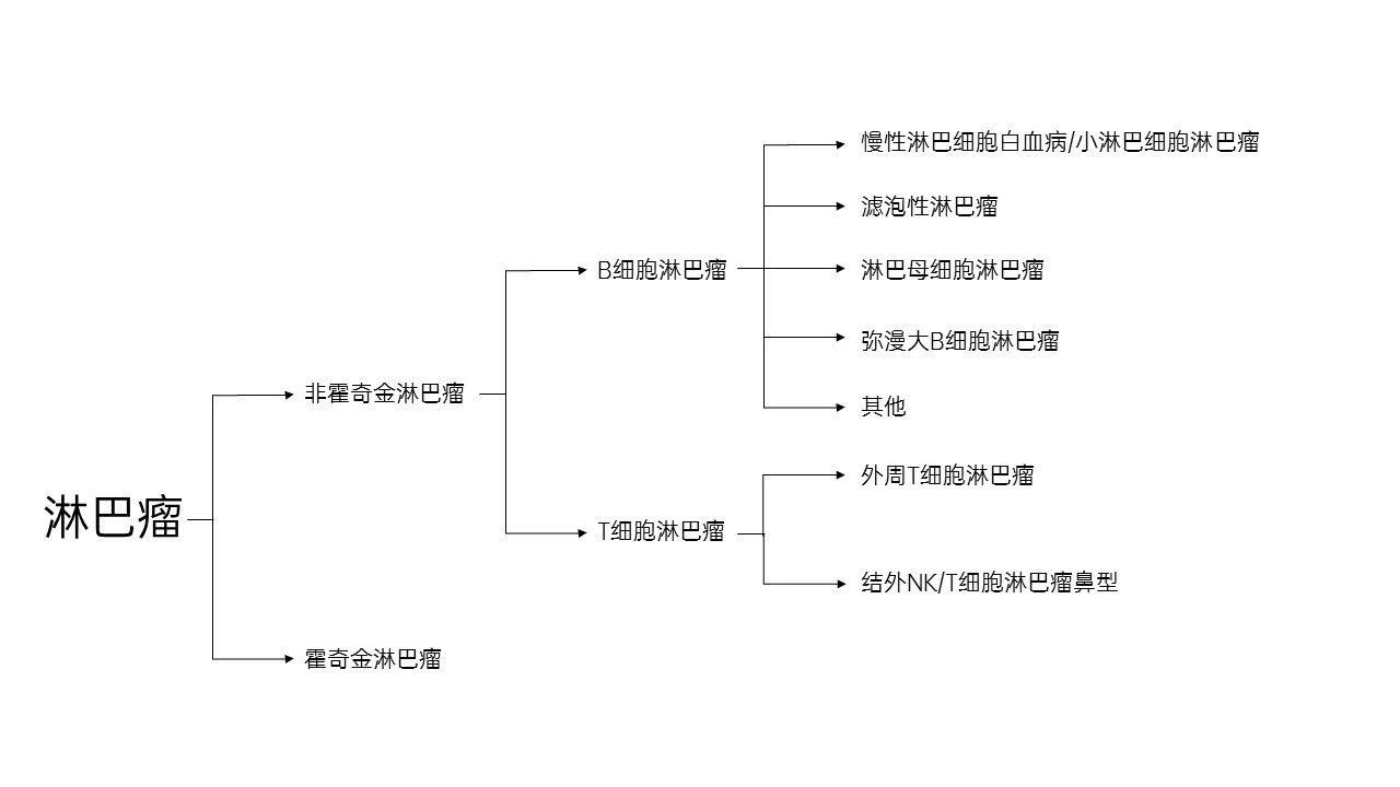 淋巴瘤是什么引起的图片