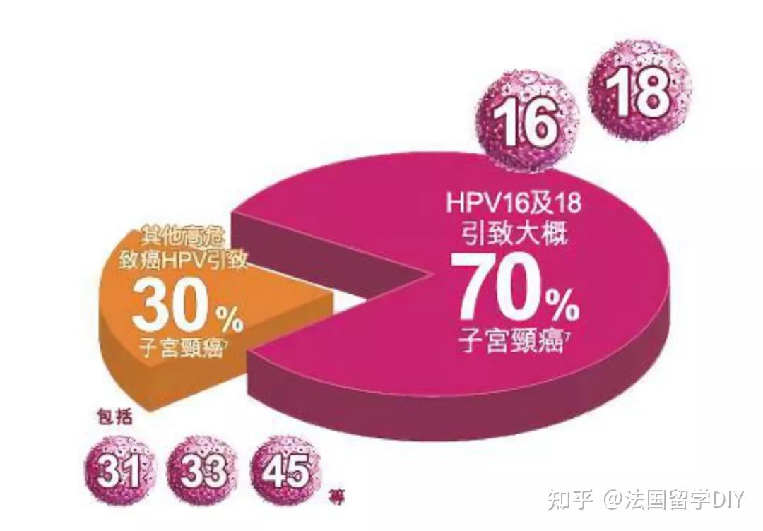 hpv疫苗國內一針上千法國能免費打這個羊毛還不薅麼硬核攻略送上