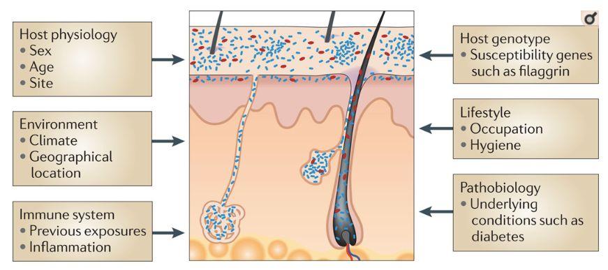 兰蔻宝洁多芬都出了微生物版本的护肤品皮肤菌群到底是怎么一回事