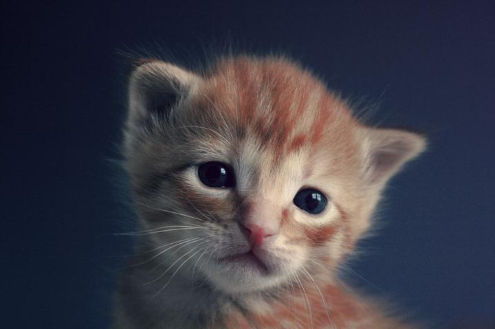 高所恐怖症原因克服