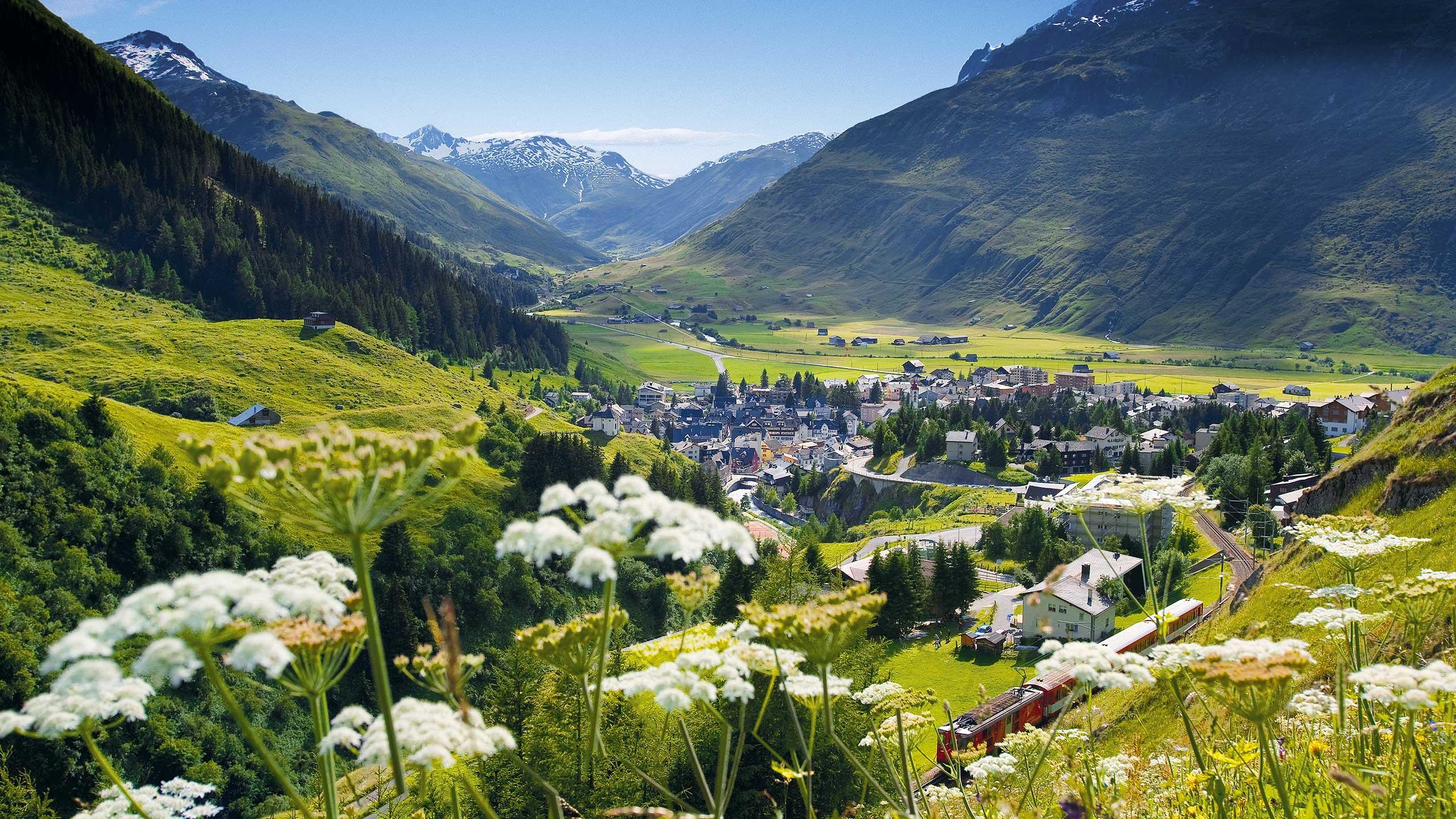 这个瑞士的巨头发电企业在用智能电表干什么?