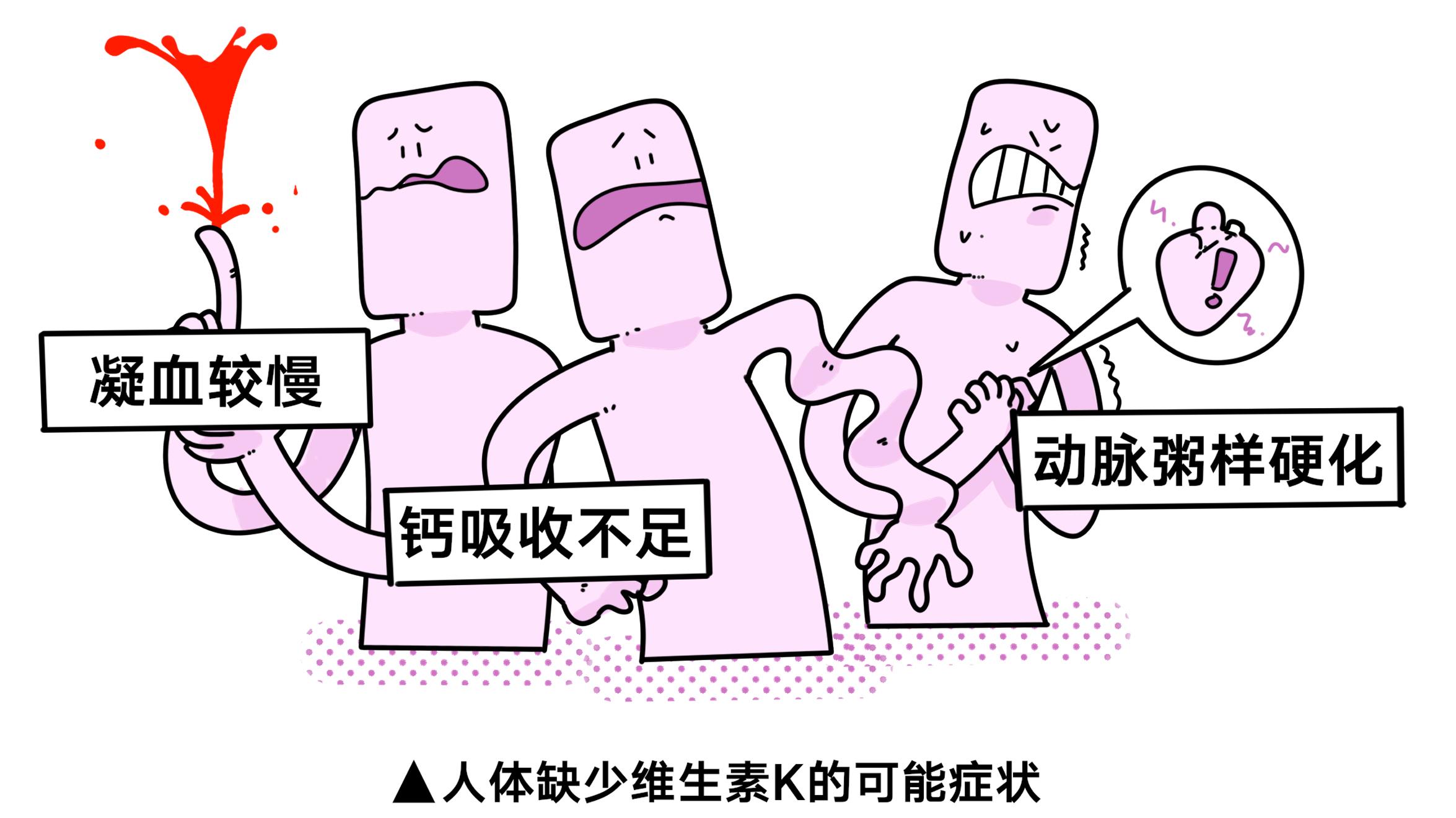 能止血,预防骨质疏松,保护心血管的维生素k,你了解多少?