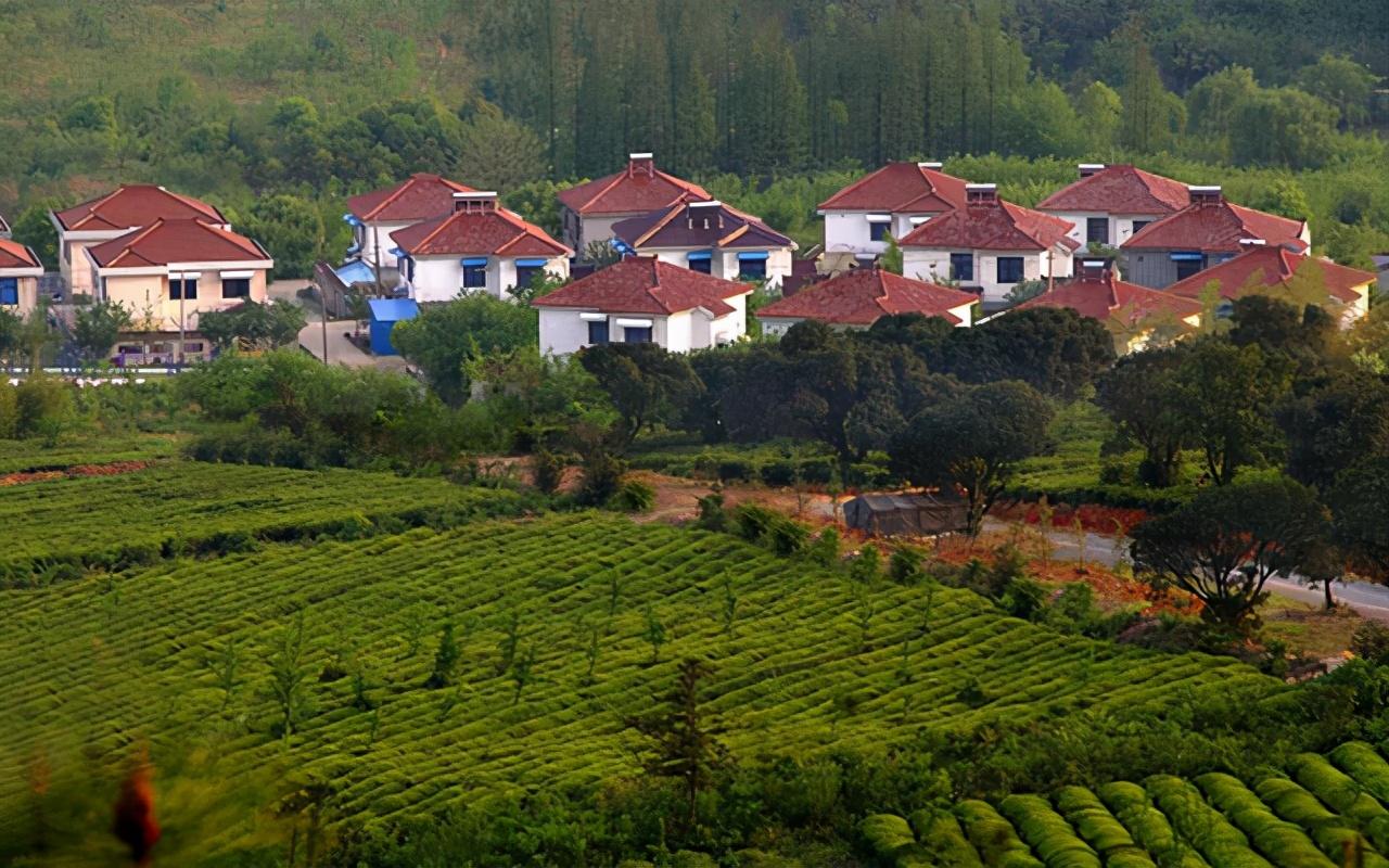 农村人注意了,在2021年中你在农村中的房子要被动了插图