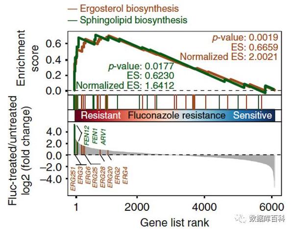 基因富集分析算法介绍 - 知乎