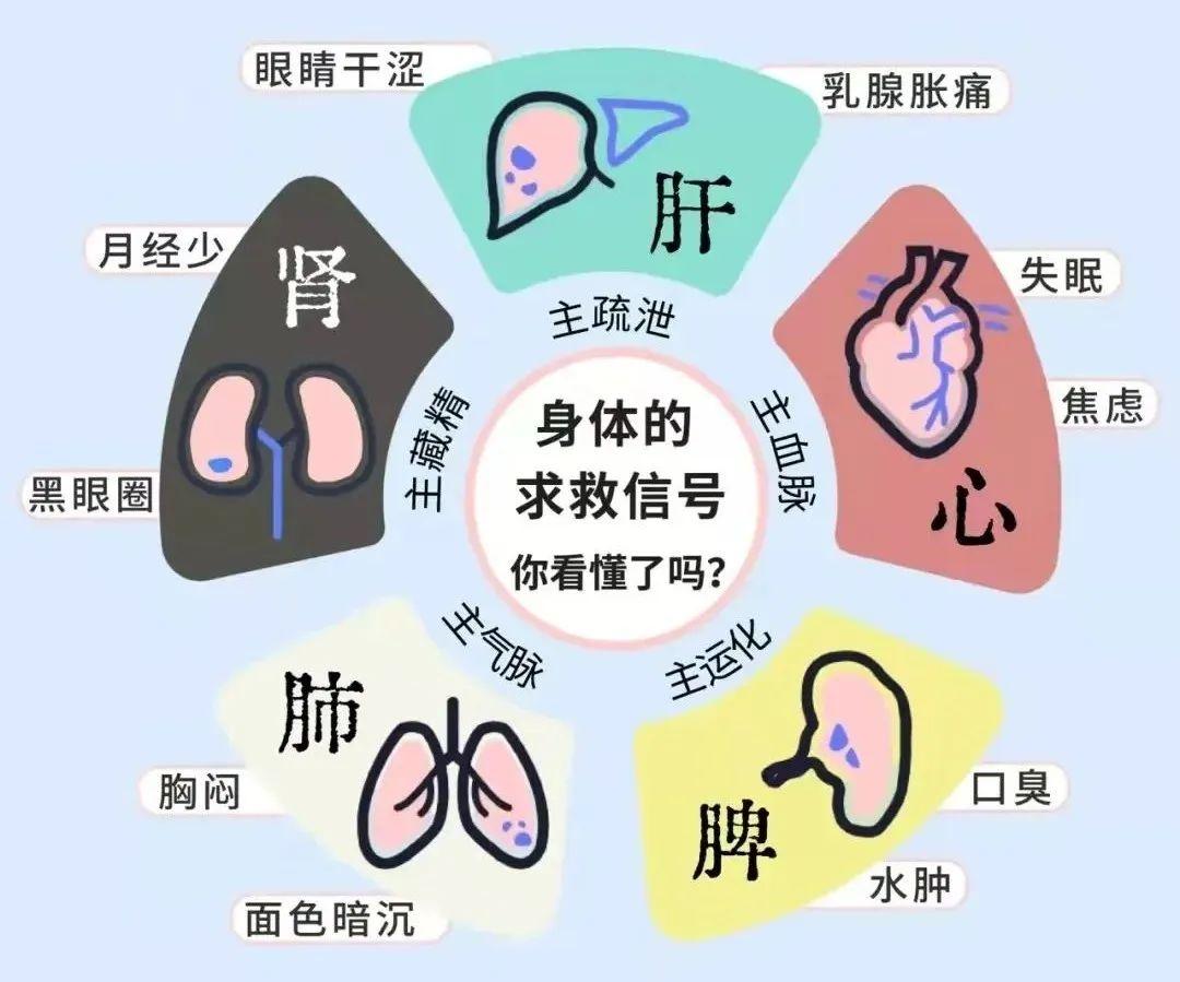 五脏六腑最全养生攻略 - 知乎