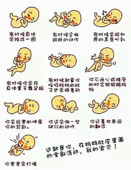 孕期玻璃心之胎动篇 动或不动 一样惶恐 知乎