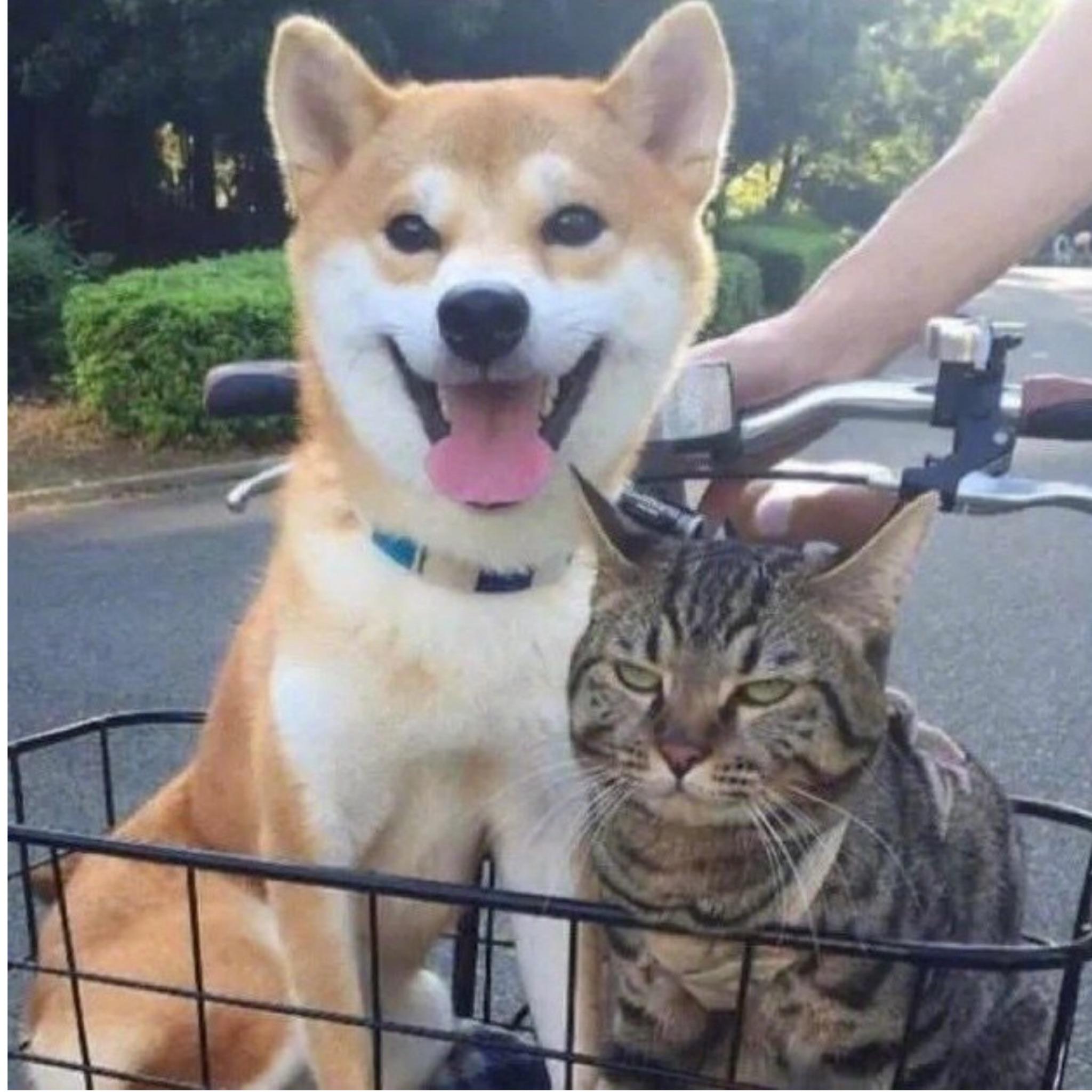 看故事的