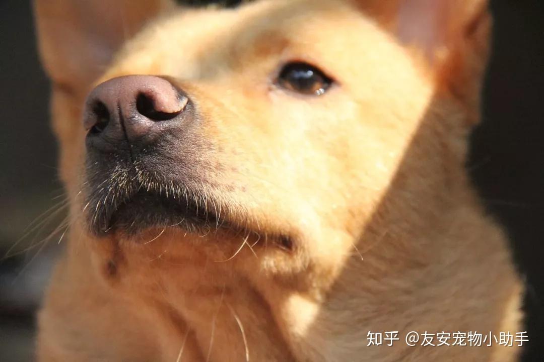 v2-f973dcbd8cb698f63e3a604789f3f882_r.jpg