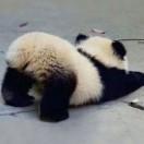 北寒