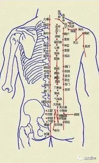 为什么练习洗膸功要开筋点穴 开筋点穴的原理是什么 知乎