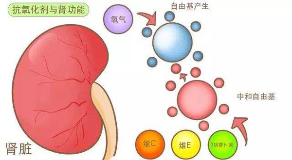 这种很慢的病 夺走了我的猫 知乎