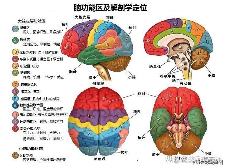 上海一医院开设门诊专治孩子学不好数理化，已全部约满，这是「智商税」吗？医疗干预的科学依据有哪些？