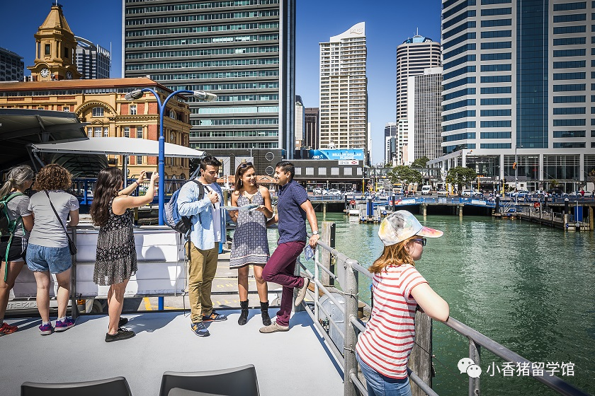 新西兰的风土人情