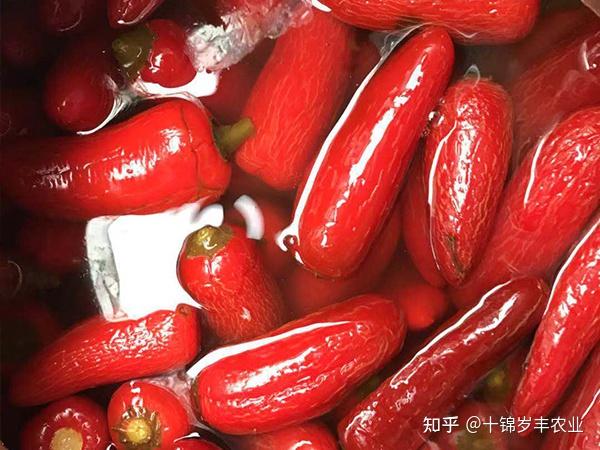 制作好吃的泡椒，选择这六个品种准没错 - 知乎