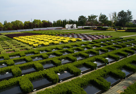 九公山树葬图片