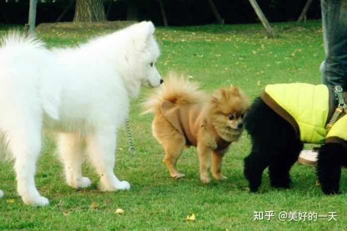 招呼的意思是什么(打声招呼的意思是什么)