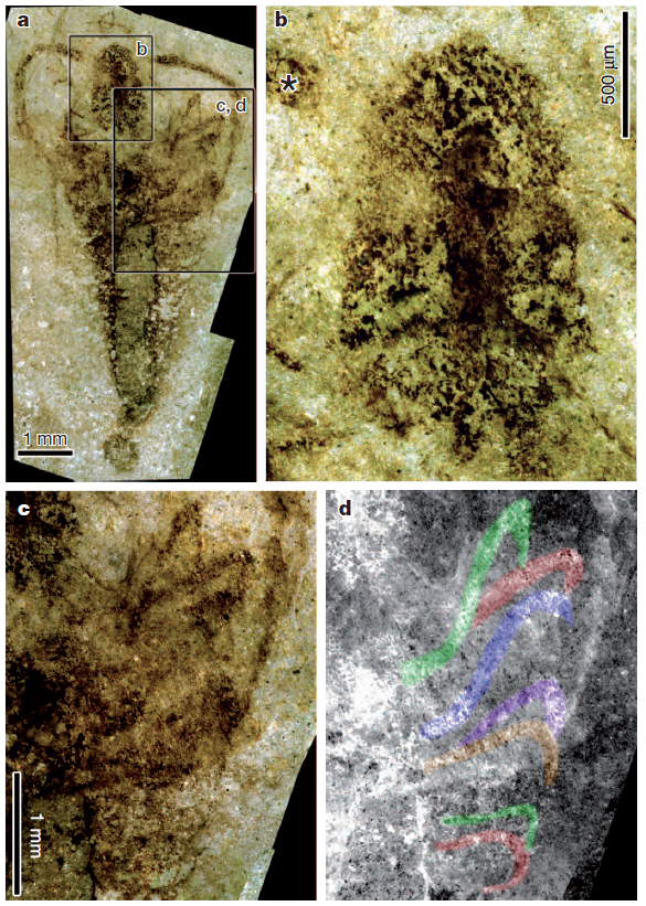 【地球演义】六足传奇1：起源之谜 - 知乎