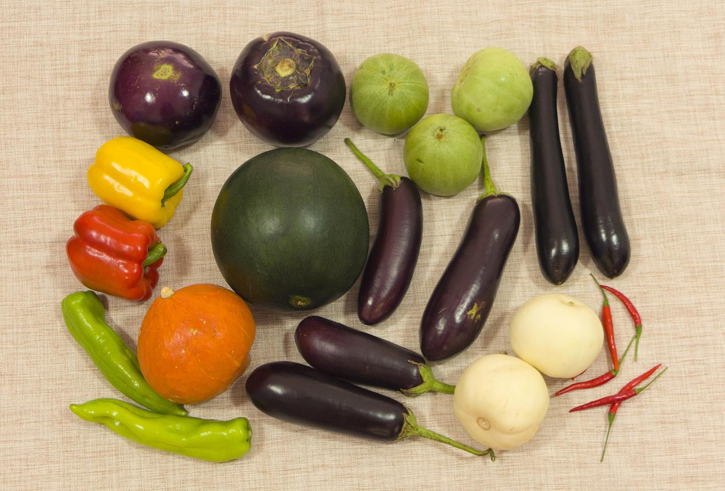 汉语茄子和英语aubergine居然是同源词