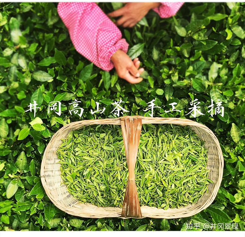 江西井冈山茶厂井冈翠绿有什么传说