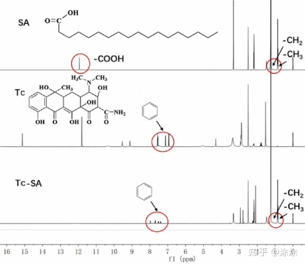 背景:a biological mechanism by which calcium supplement using