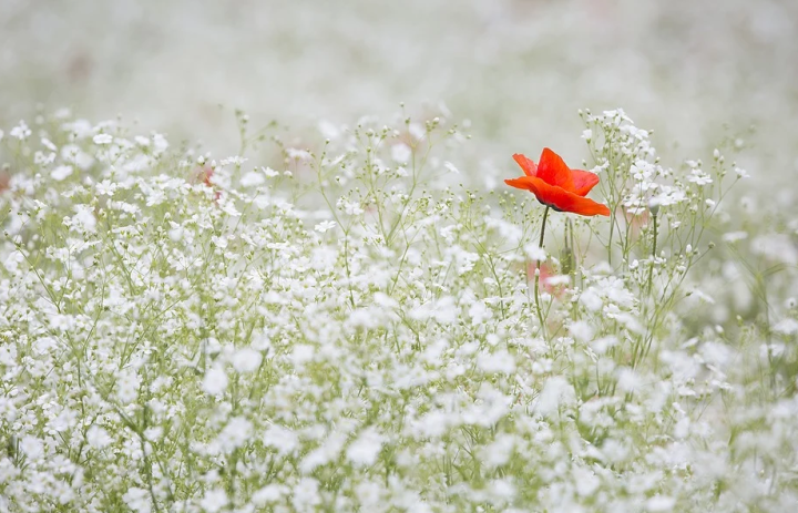 v2-fa0a4e8bf6510d1f8b8efec8b141f9a4_1440w.jpg?source=172ae18b