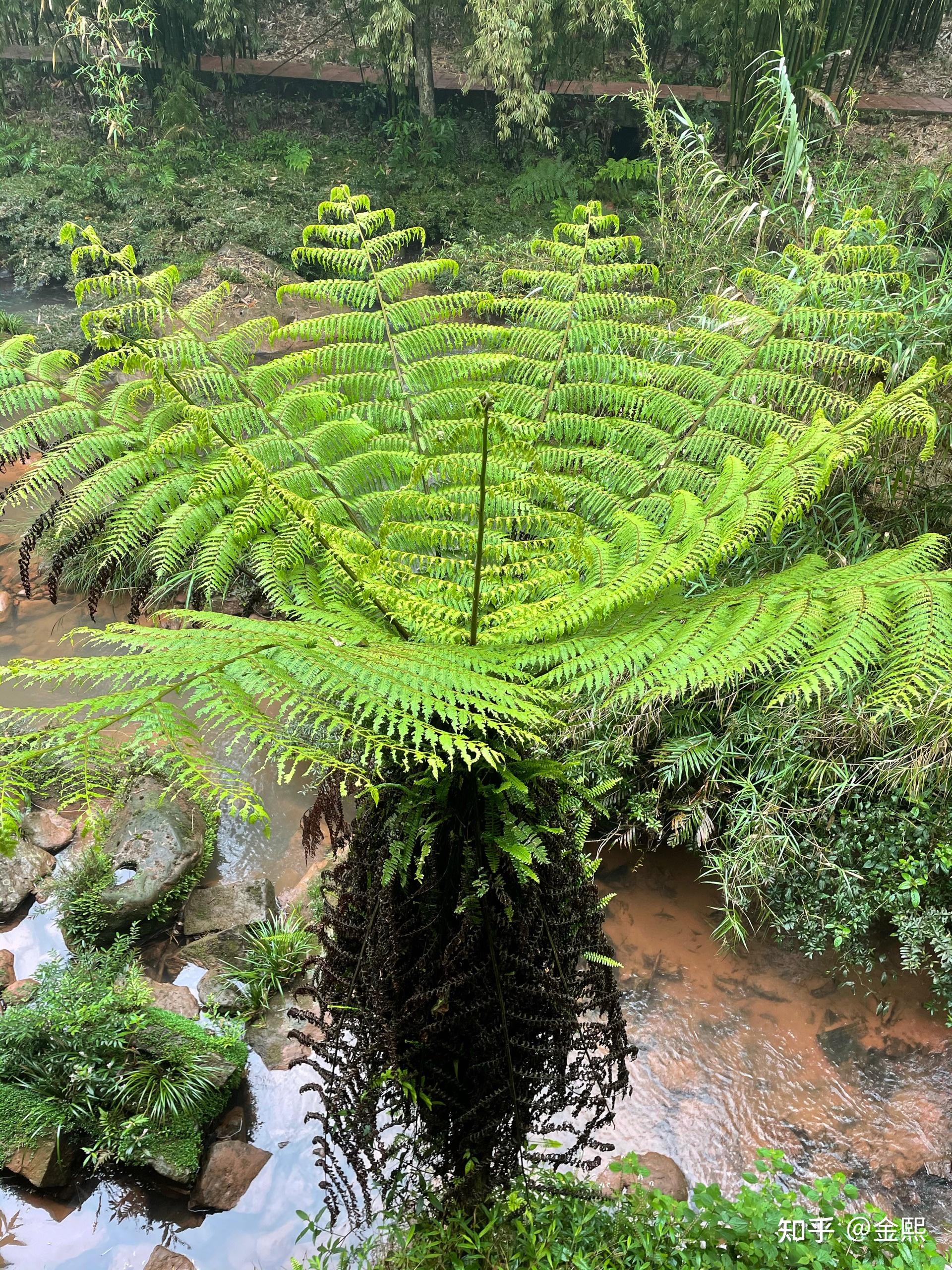 赤水小记 - 知乎