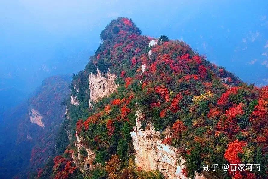 5a青天河中原最大红叶基地单线靳家岭观赏十万亩红叶漫山美爆了还有