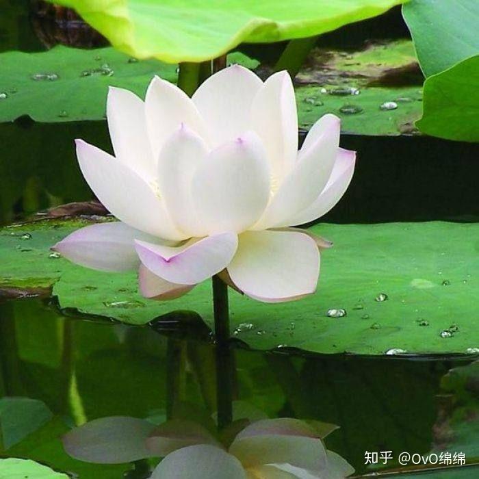 如果80年有微信那头像应该是什么样的