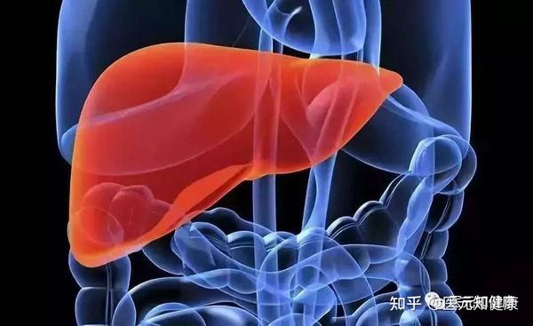 体检发现脂肪肝，坚持跑步、少吃肉，多长时间能恢复正常？ 知乎