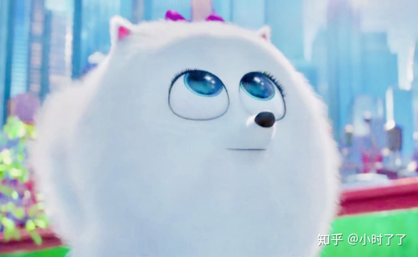 求爱宠大机密小白狗啾啾的头像