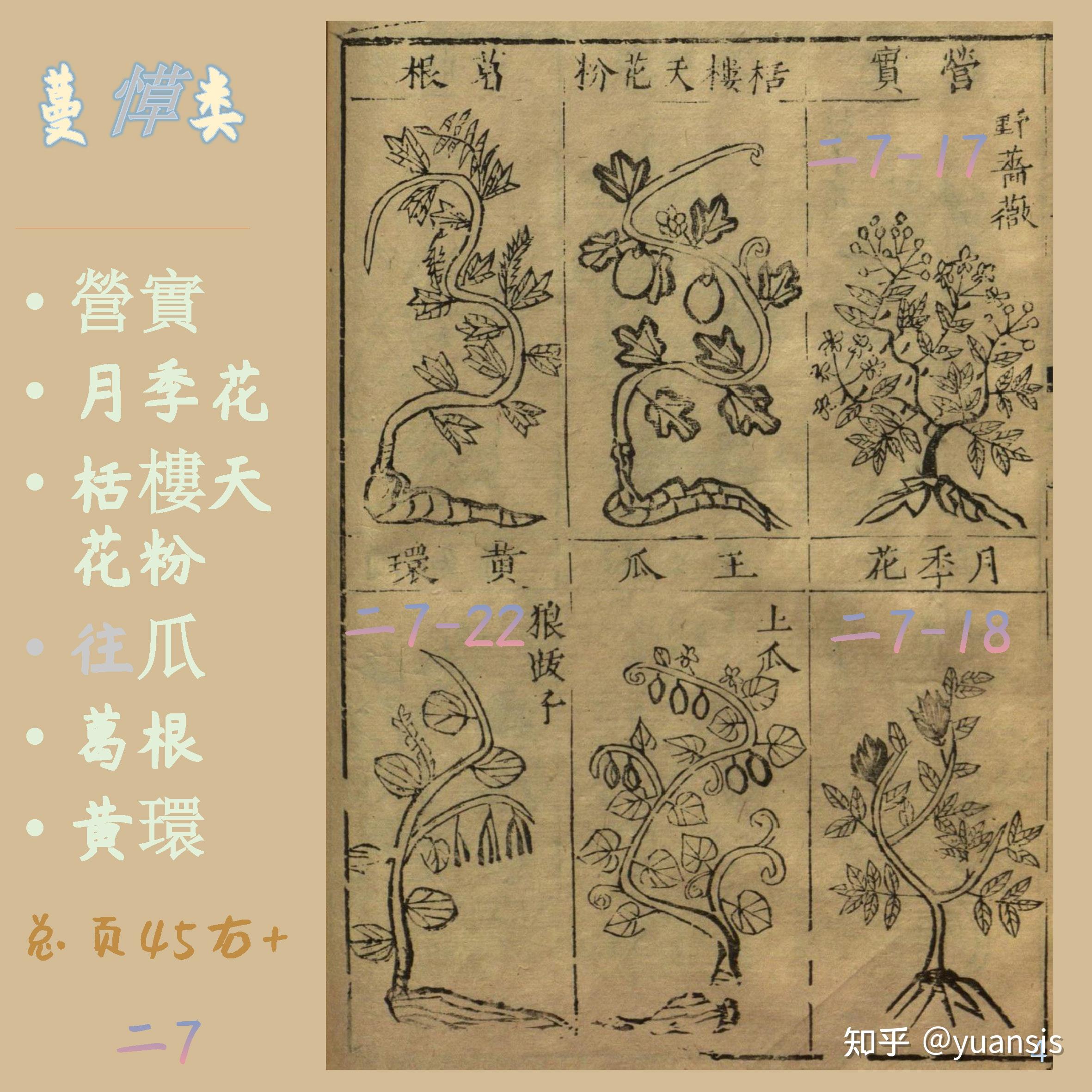 葛根 营实,蔷薇 玉竹,土茯苓 何首乌《纲目》根:天门冬 - 知乎
