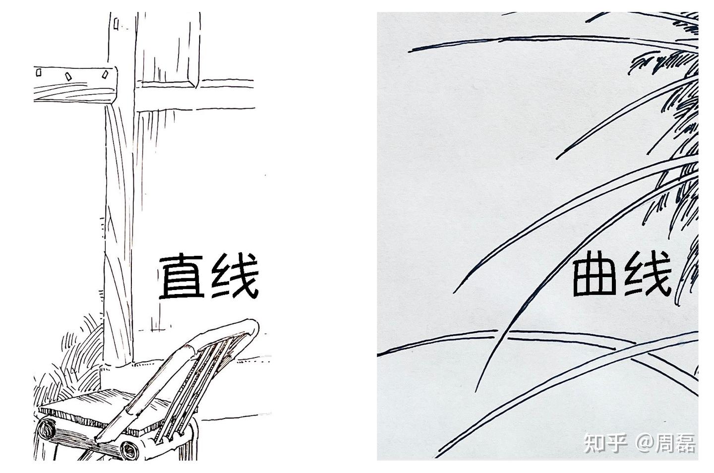 零基础速写入门(5):如何练习「手绘线条」? - 知乎